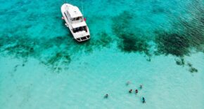 El buceo en Cozumel atrae a viajeros del mundo con experiencias para todos los niveles con Grupo Presidente